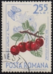 Stamps Romania -  SG 3236