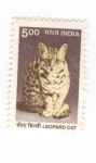 Stamps India -  Leopardo