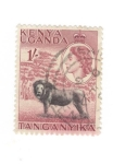 Sellos del Mundo : Africa : Kenya : Leon