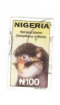 Stamps Nigeria -  Cercopithecus erythrotis