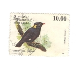 Stamps Sri Lanka -  Gracula ptilogenys