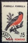 Stamps Romania -  Camachuelo