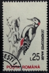 Stamps Romania -  Pico Picapinos