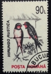 Stamps Romania -  Golondrina común 