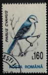 Stamps Romania -  Herrerillo común 
