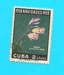 Stamps : America : Cuba :  Navidad 58 - 59  Orquideas