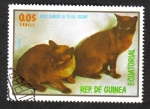 Sellos de Africa - Guinea Ecuatorial -  Cats,III-1976