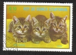 Sellos de Africa - Guinea Ecuatorial -  Cats,III-1976