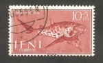 Stamps Morocco -  Ifni - 149 - Scyliorhinus stellaris  