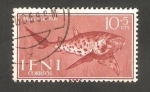 Sellos de Africa - Marruecos -  Ifni - 149 - Scyliorhinus stellaris  