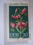 Stamps Germany -  DDR- Flora.