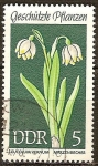 Stamps Germany -  Plantas protegidas Märzenbecher (DDR).
