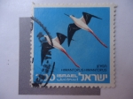 Stamps Israel -  Himantopus Himantopus.