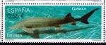 Stamps Spain -  Edifil  4984  Fauna protegida. 