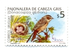 Stamps Uruguay -  ESPAÑA 2000 EXPOSICION FILATELICA INTERNACIONAL