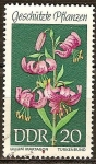 Stamps Germany -  Plantas Protegidas-Martagon lirio (Lilium martagon)DDR.