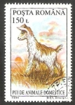 Stamps Romania -  4219 - Cabrito, animal doméstico
