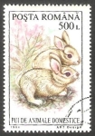 Stamps Romania -  4221 - Conejos, animal doméstico