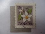 Stamps : America : Canada :  Flora - Scott/ca:787