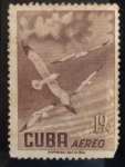 Stamps Cuba -  Gaviotas