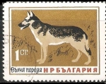 Stamps Bulgaria -  Perro