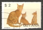Stamps : America : Guyana :  Abyssinian