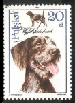 Stamps Poland -  Welsh terrier