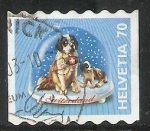 Stamps America - Suriname -  Gatos