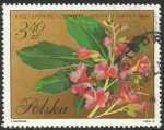 Stamps Poland -   Aesculus carneab