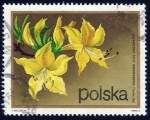 Stamps Poland -  Rhododendron flavum