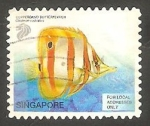 Stamps Singapore -  1024 A - Pez tropical 