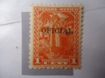 Stamps : America : Mexico :  India Yalalteca.