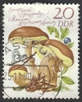 Stamps Germany -  2213 - Champiñón comestible