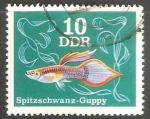Sellos de Europa - Alemania -  spitzschwanz guppy