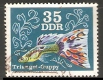 Stamps Germany -  Triangel Guppy