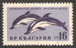 Stamps Bulgaria -  Delfinus belfis