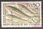 Stamps : Africa : Republic_of_the_Congo :  Elagatis bipinnulatus-Corredor del arco iris 