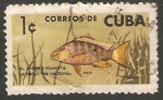 Sellos de America - Cuba -  El ahorro fomenta la industria nacional-pesca
