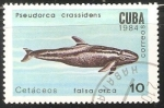 Sellos de America - Cuba -  Falsa orca