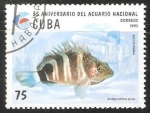 Sellos del Mundo : America : Cuba : 35 Aniversario del acuario nacional