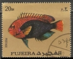 Stamps United Arab Emirates -  Pomacanthus imperator