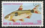 Stamps Equatorial Guinea -  Exodon Paradoxus