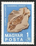 Stamps Hungary -  Clupea Hungarica
