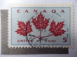 Stamps Canada -  Hojas de Arce - United.