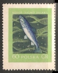 Sellos de Europa - Polonia -  Salmon