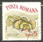 Stamps : Europe : Romania :  Scorpie de mare-marsopa 