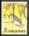 Sellos del Mundo : Asia : Singapur : toxotes jaculatrix