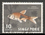 Stamps Singapore -  Rasbora heteromorpha-Harlequin rasbora