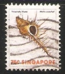 Stamps : Asia : Singapore :  troschel