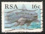 Stamps South Africa -  Latimeria chalumnae